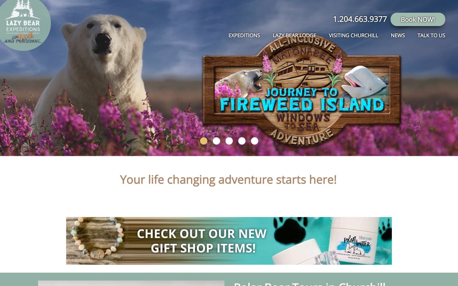 The Lazy Bear Expeditions homepage as it was in January 2024. A round green logo badge reading 'Lazy Bear Expeditions, Up North and Personal' sits over a carousel photograph of a polar bear standing in tall pink fireweed, beside a phone number, a 'Book NOW!' button and a menu of Expeditions, Lazy Bear Lodge, Visiting Churchill, News and Talk To Us. A carved wooden sign across the photograph reads 'All-Inclusive Matonabee, Journey to Fireweed Island, Windows to Sea Adventure' over five carousel dots. Below it, brown type reads 'Your life changing adventure starts here!' over a teal banner advertising new gift shop items.